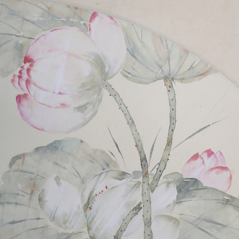 荷花扇面(3)