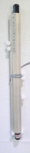 仕女扇面(5)