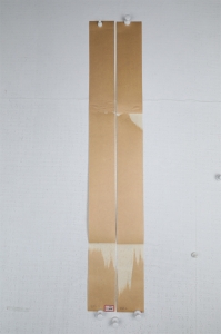 (4)