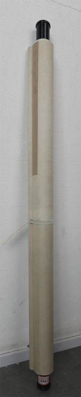 (3)