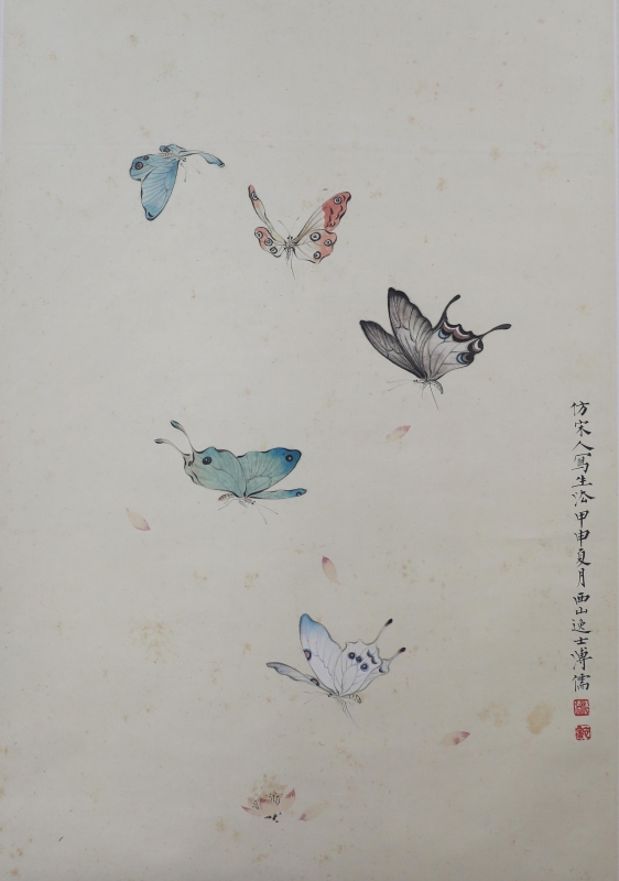 飞蝶(1)