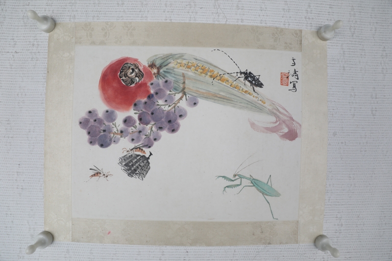 蔬果草虫(6)