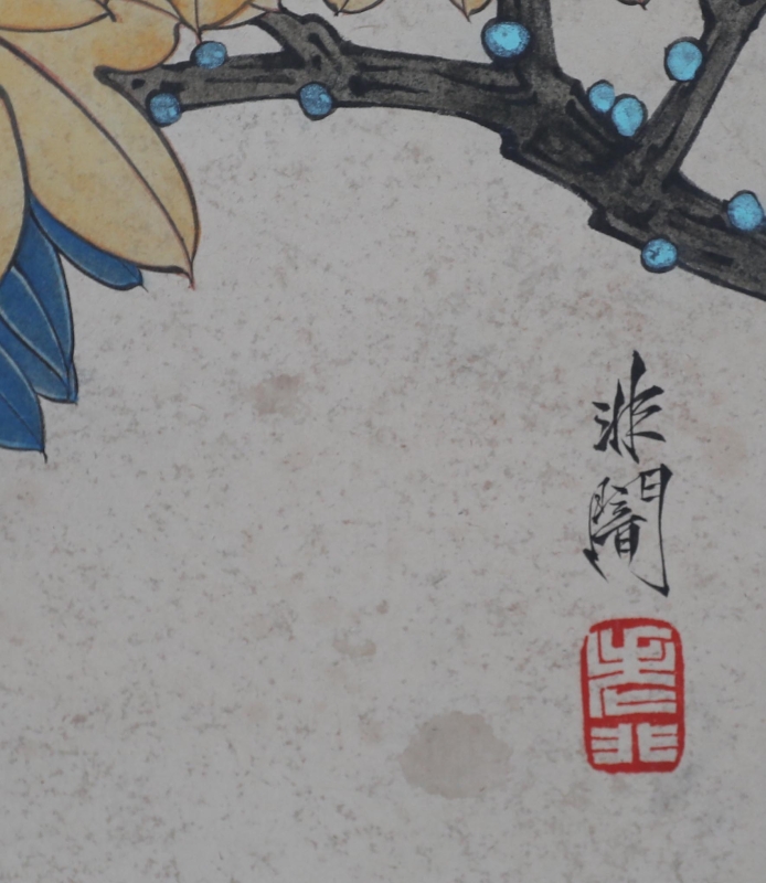 鹦鹉(2)