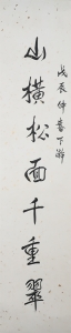 (5)