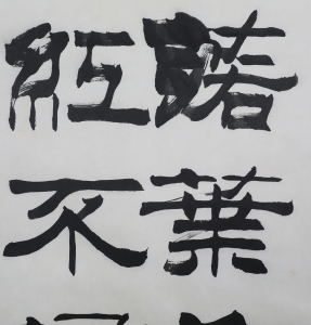 (3)