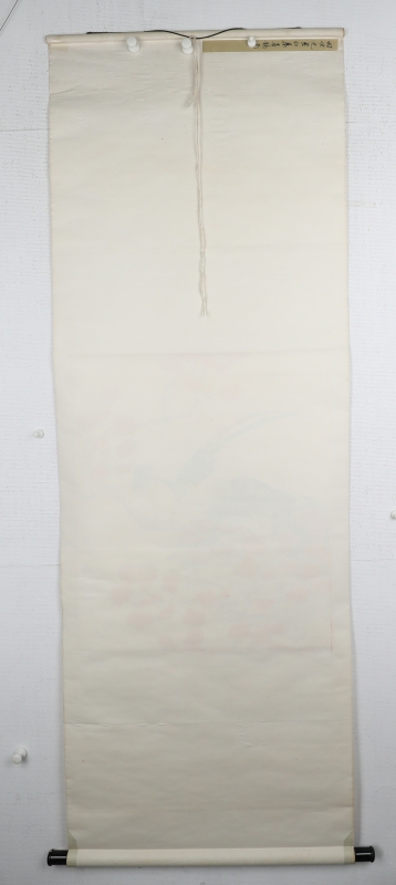 (5)