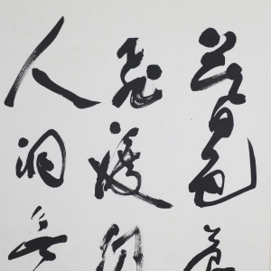 (3)