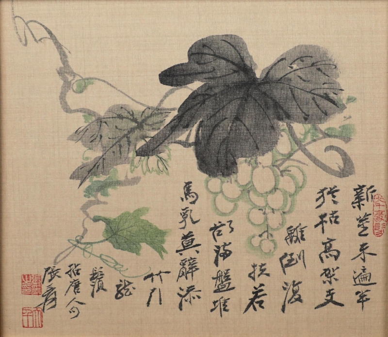 葡萄(1)