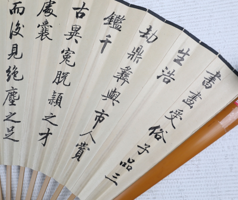 书法山水成扇(6)