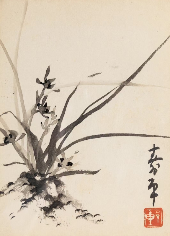 兰花(1)