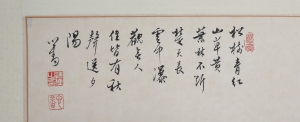 (2)