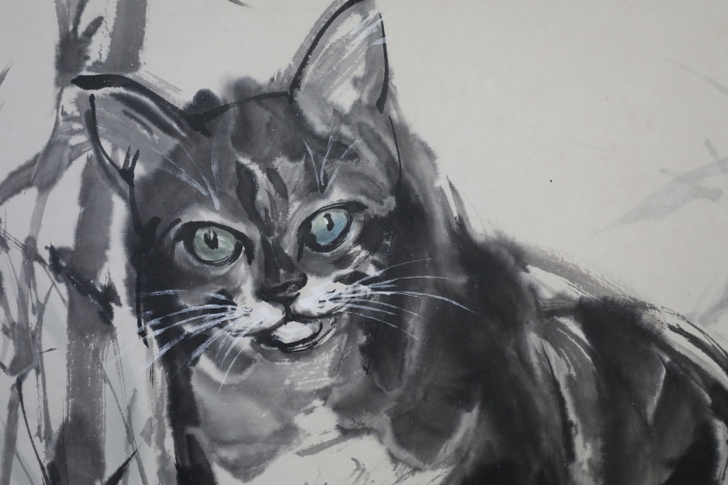 猫趣图(3)